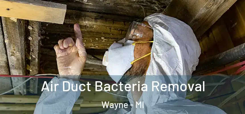 Air Duct Bacteria Removal Wayne - MI