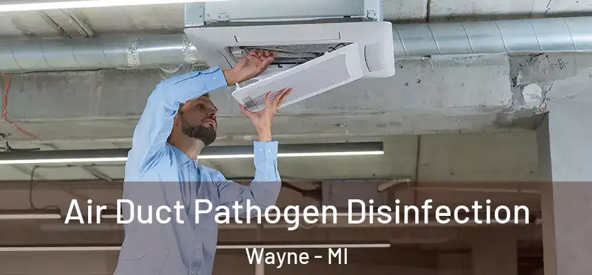  Air Duct Pathogen Disinfection Wayne - MI