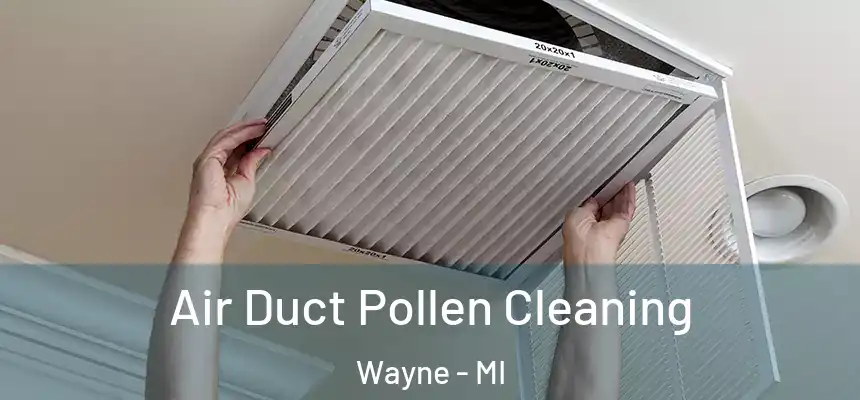  Air Duct Pollen Cleaning Wayne - MI