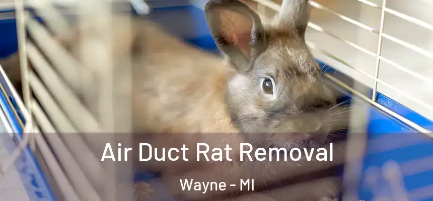  Air Duct Rat Removal Wayne - MI