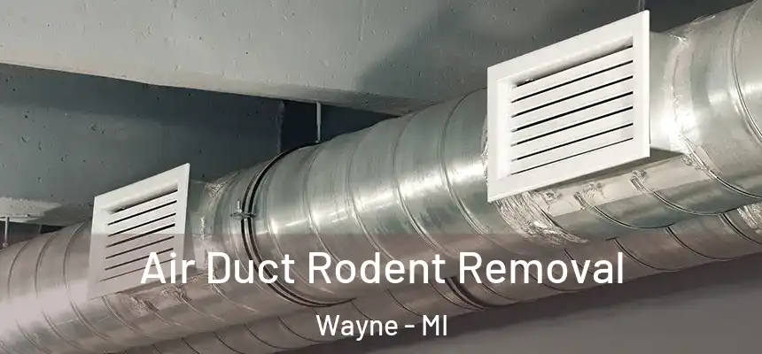  Air Duct Rodent Removal Wayne - MI