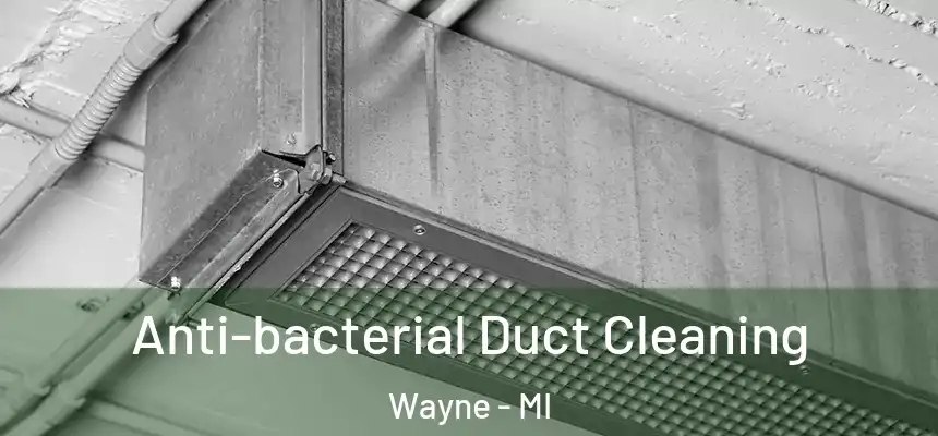  Anti-bacterial Duct Cleaning Wayne - MI