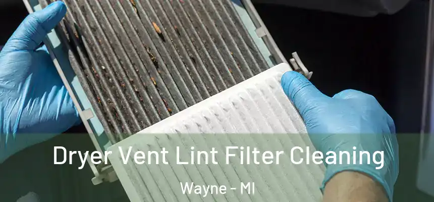 Dryer Vent Lint Filter Cleaning Wayne - MI