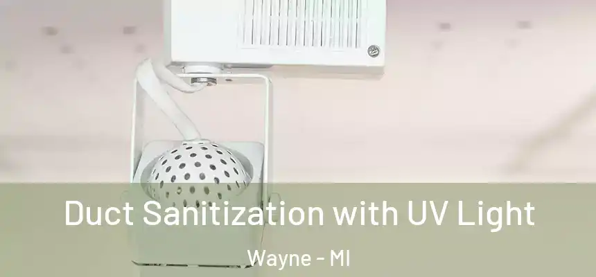  Duct Sanitization with UV Light Wayne - MI