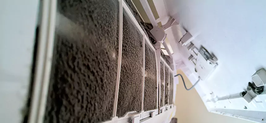 Preventive Air Duct Bacteria Removal in Wayne