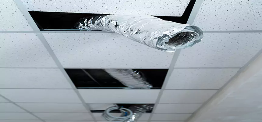 Affordable HVAC Sanitizing After Pest Removal in Wayne