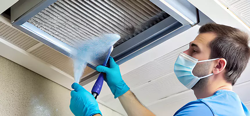 Proactive Dryer Vent & Auxiliary Duct Pollen Cleanup in Wayne, MI