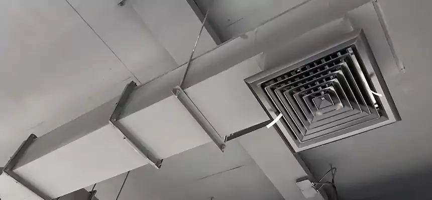 Our Rodent Droppings In Vents Services in Wayne, MI