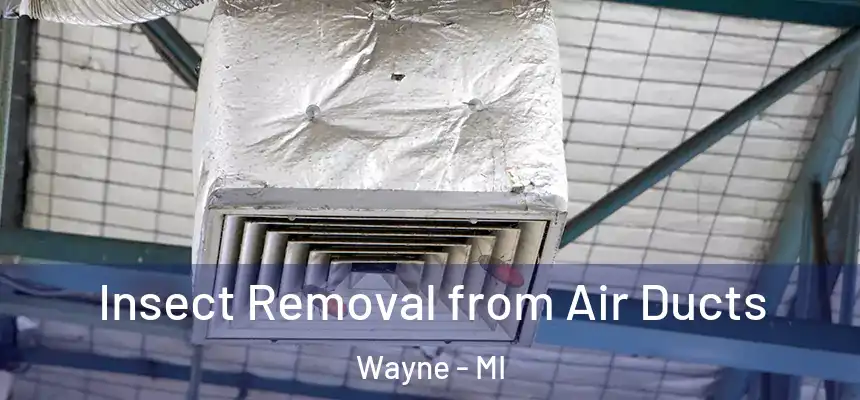  Insect Removal from Air Ducts Wayne - MI