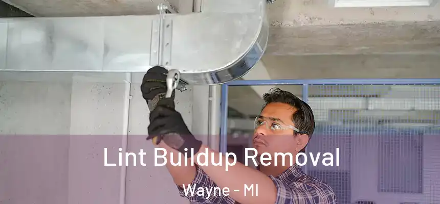  Lint Buildup Removal Wayne - MI