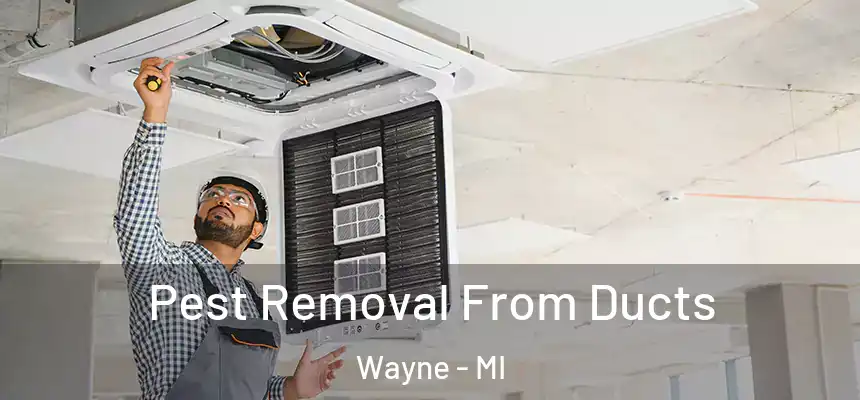  Pest Removal From Ducts Wayne - MI