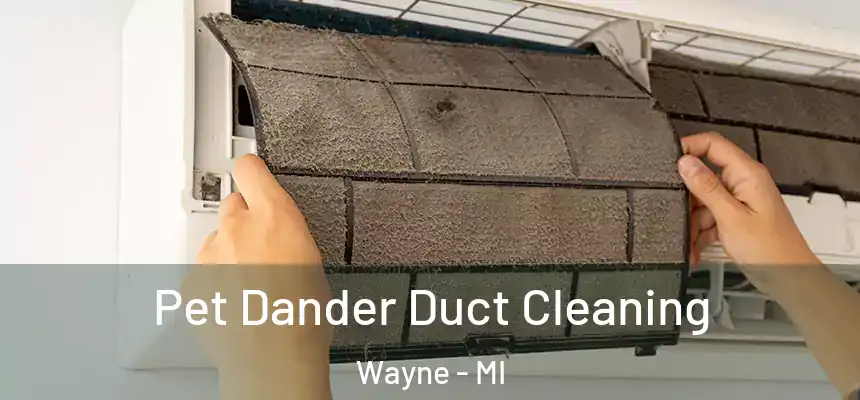  Pet Dander Duct Cleaning Wayne - MI