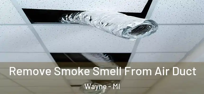  Remove Smoke Smell From Air Duct Wayne - MI