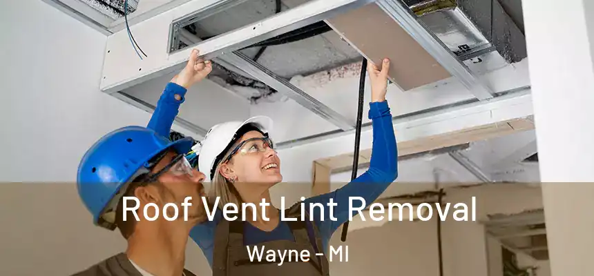  Roof Vent Lint Removal Wayne - MI