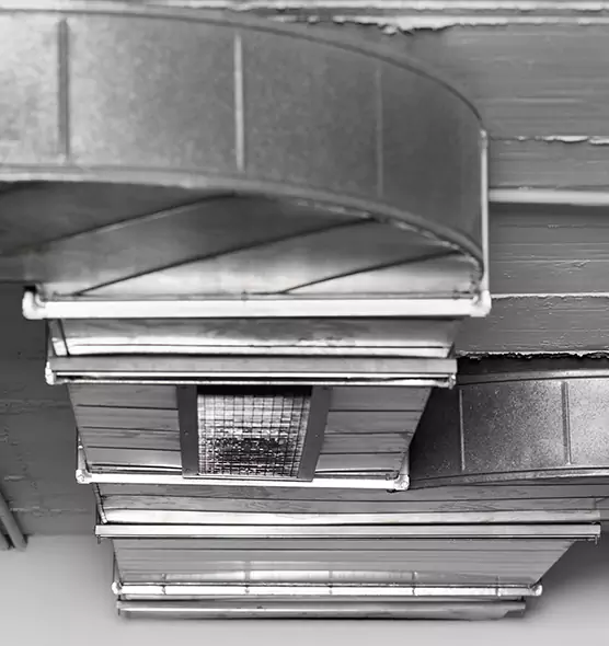 Professional Air Duct Pest Removal in Wayne, MI