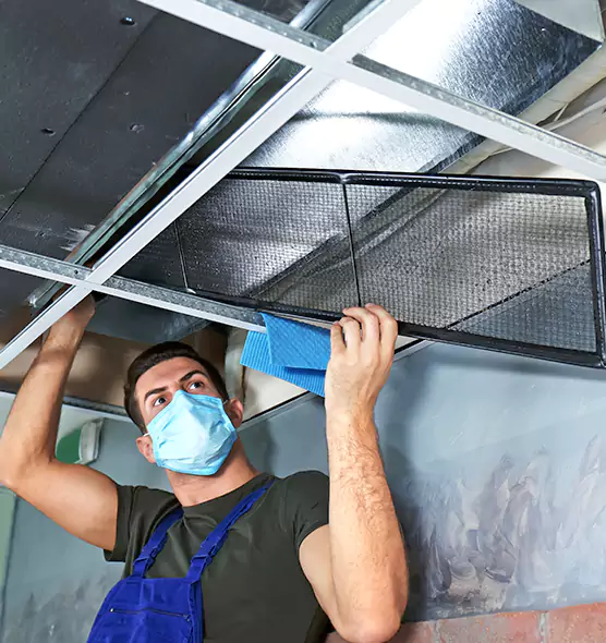 Professional Air Duct Pollen Cleaning in Wayne, MI