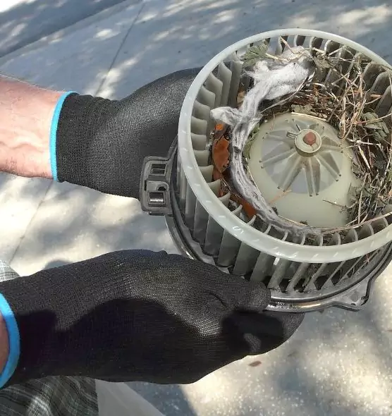 About Air Duct Rat Removal in Wayne, MI