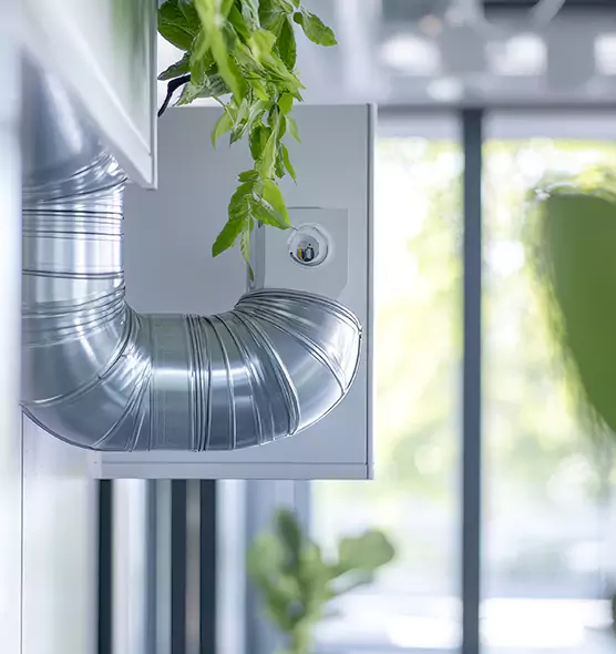 Professional Eco-Friendly Duct Cleaning Services in Wayne, MI