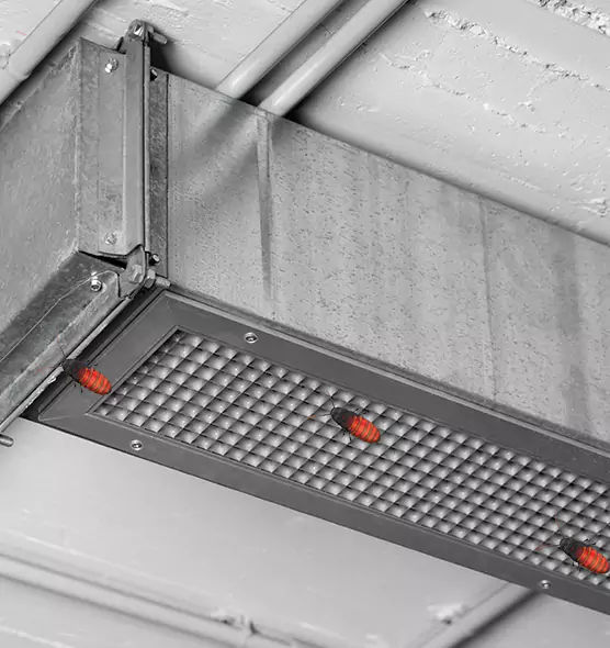 Affordable Insect Removal from Air Ducts in Wayne, MI
