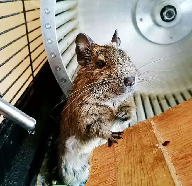 Why Homeowners & Businesses Trust Us Wayne, MI