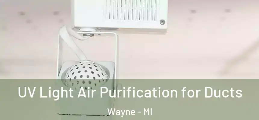  UV Light Air Purification for Ducts Wayne - MI